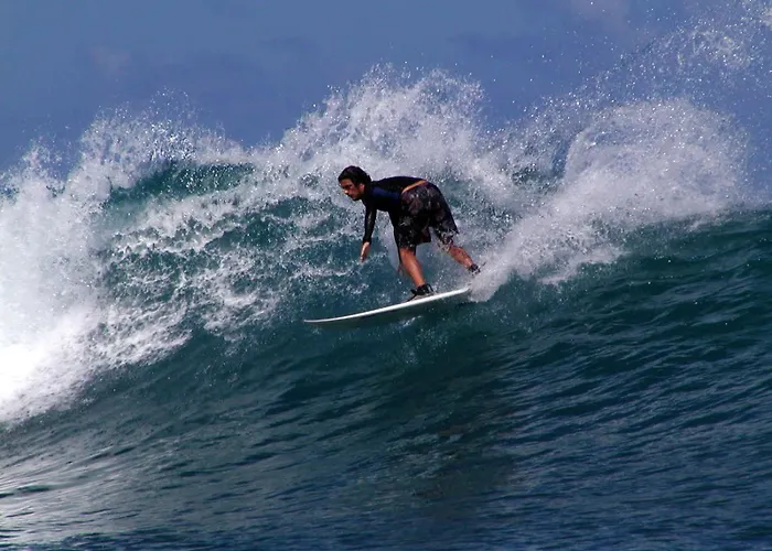 Tiny House Paulina De Luxe